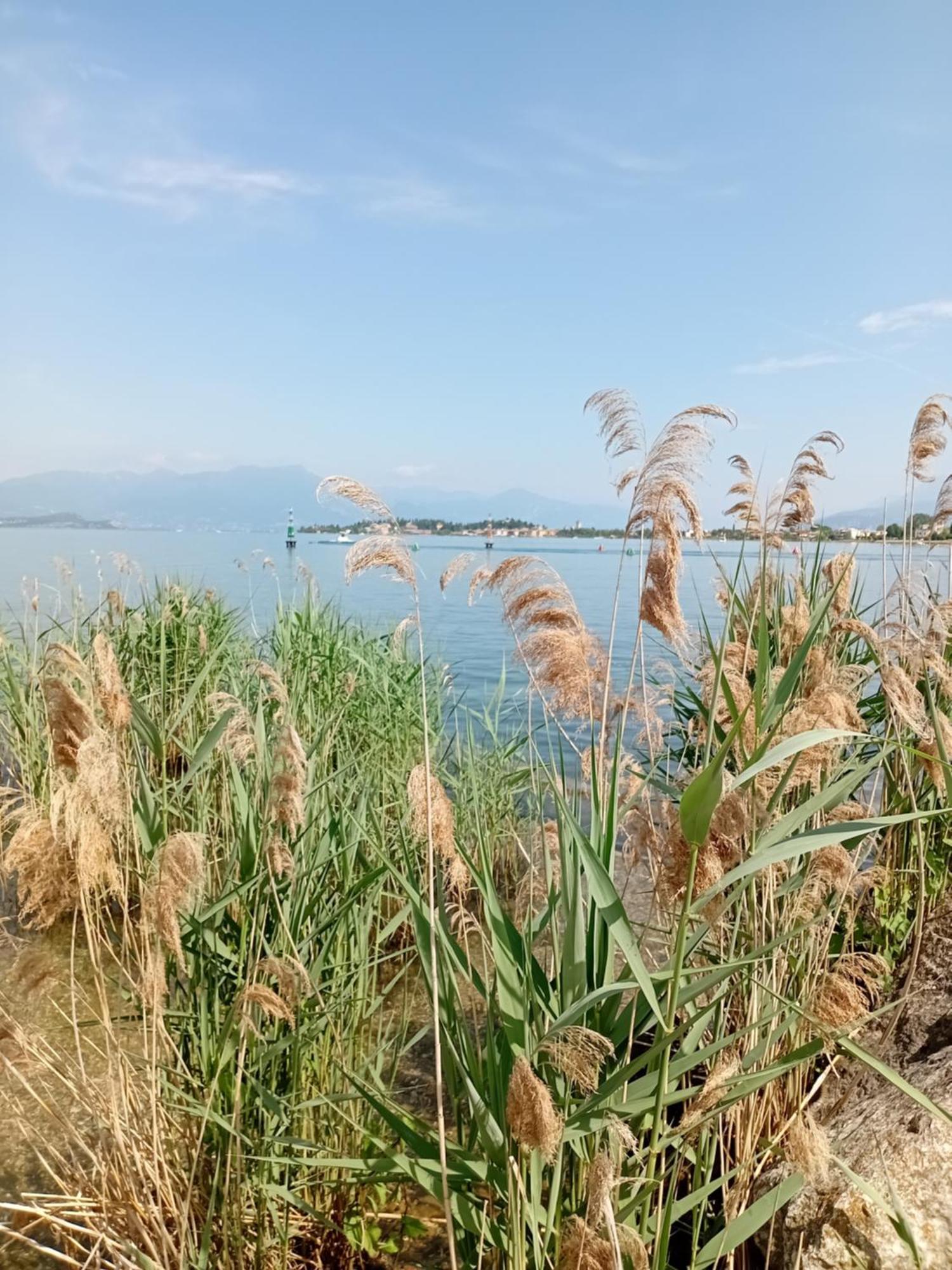 Miragarda Sirmione Apartment Exterior photo